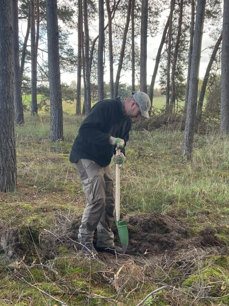 Person bei der Feldarbeit mit Handschaufel im Kiefernwald