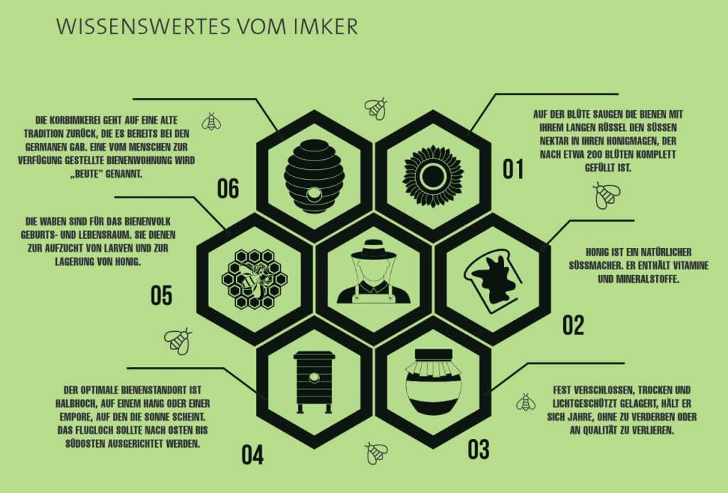 Grafik mit wabenförmigem Layout über Imkerei, stilisierte Imkerfigur und Symbole zu Honig, Wabe und Bienenhaltung